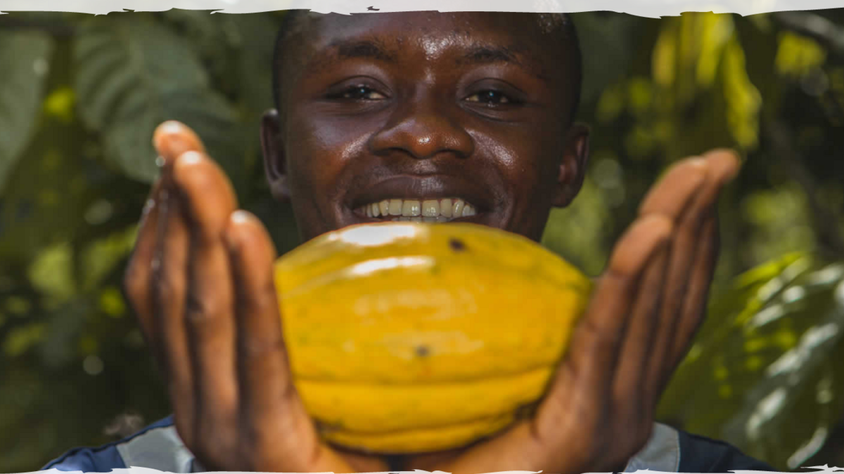 CCIFG OnSite Visit COCOA TOUTON PROCESSING COMPANY Ghana Limited